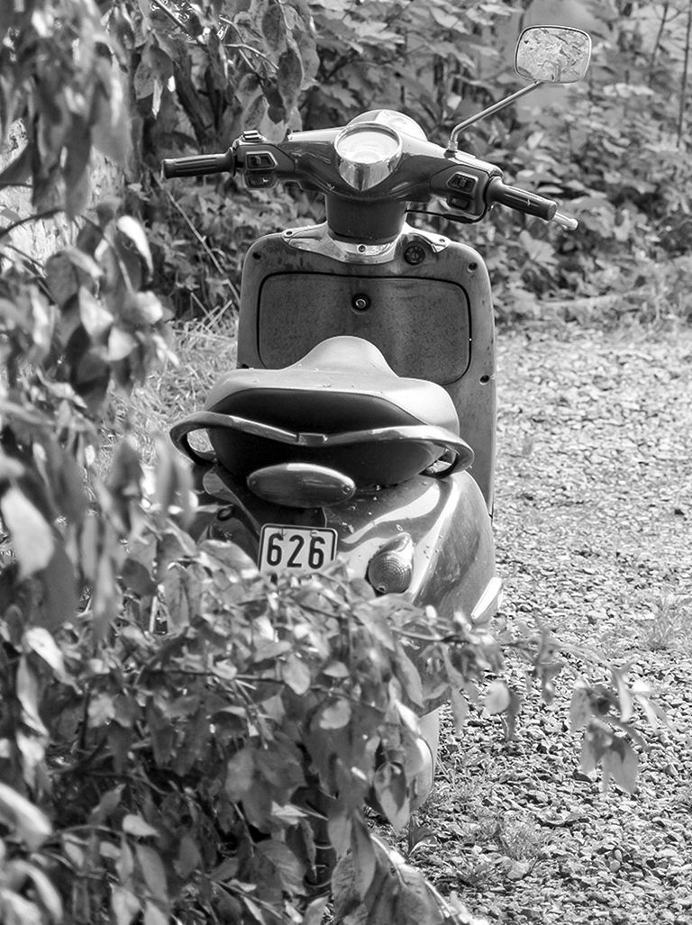 Detailansicht eines Vintage-Mofas in Schwarz-Weiß, teilweise verdeckt von Laub, mit dem Kennzeichen "626" erkennbar. Der Fokus liegt auf der Nostalgie des Fahrzeugs.